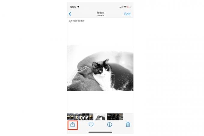 Schaltfläche „Teilen“ von iPhone-Fotos.