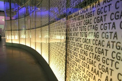 DNK zid