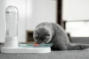 Este producto de Kickstarter mantiene a tus gatos hidratados