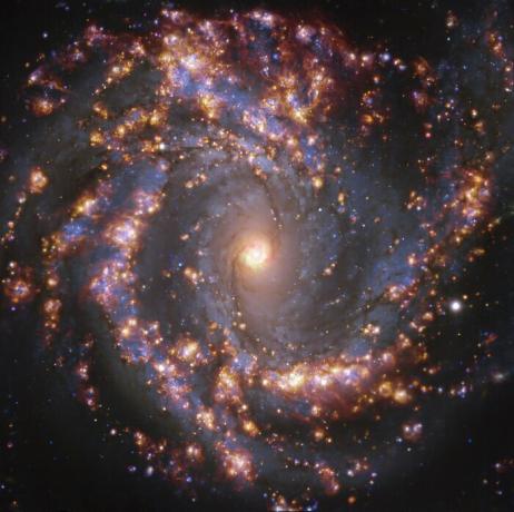 Den här bilden, tagen av Multi-Unit Spectroscopic Explorer (MUSE) på ESO: s Very Large Telescope (VLT), visar den närliggande galaxen NGC 4303. 