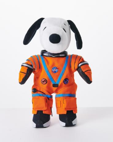 Snoopy míří do vesmíru na misi Artemis I Moon od NASA