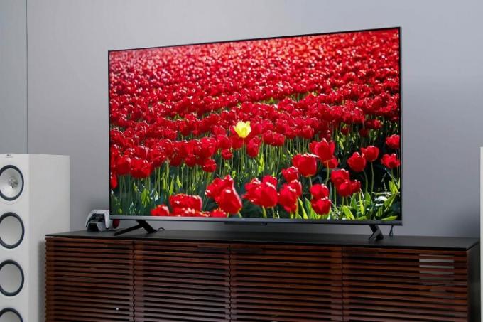 Um campo de rosas é exibido na tela do Google TV da série TCL 6