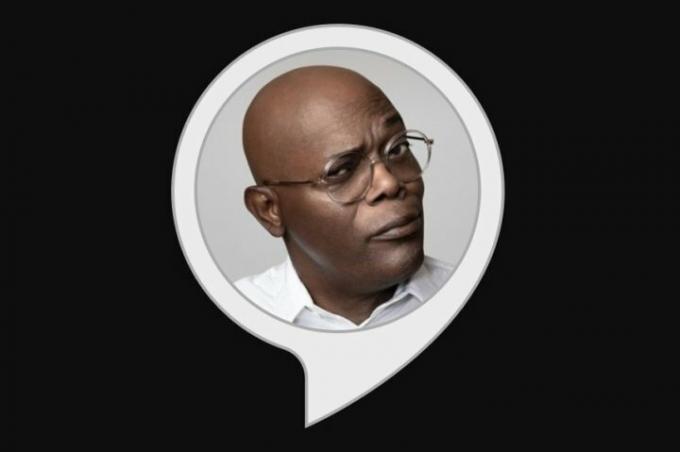 come usare Alexa Samuel L Jackson Celebrity Voice 2