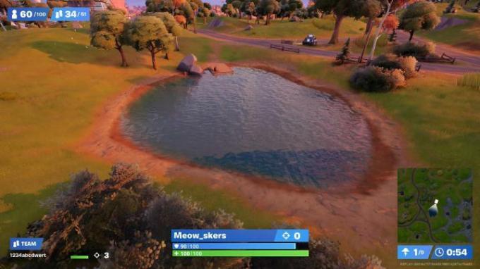 Un lac în Fortnite.