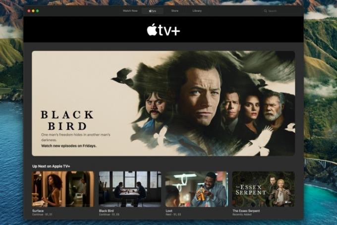 Domovská obrazovka Apple TV Plus s Black Bird.