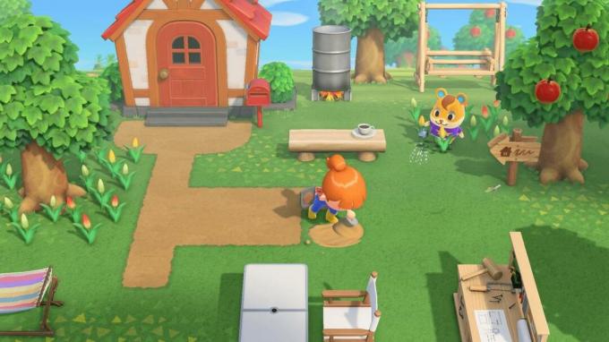 Animal Crossing: ขอบเขตอันใหม่