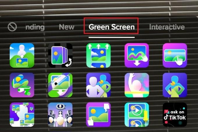 Meni učinkov zelenega zaslona TikTok.