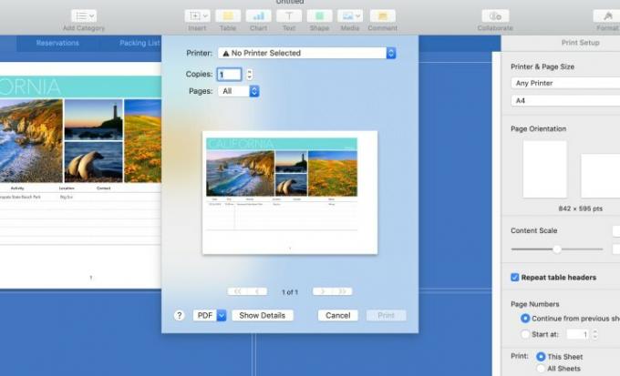Jak drukować do pliku PDF w systemie MacOS