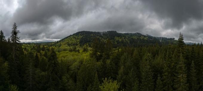 Panorama af skovklædte bakker under mørke stormskyer.