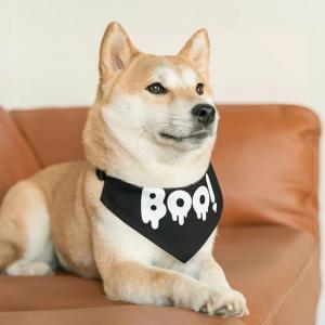 Los disfraces de Halloween para mascotas más adorables que puedes encontrar en Etsy