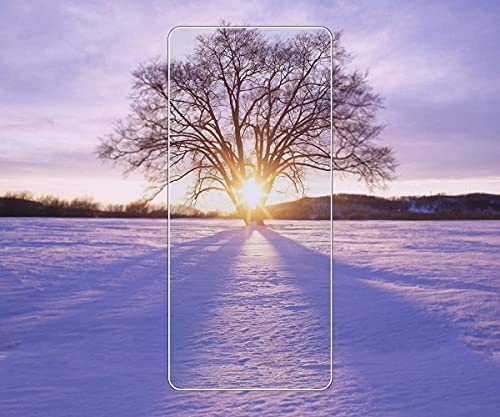 Suttkue Lot de 2 + 2 films de protection d'écran pour Samsung Galaxy Z Fold 4 5G avec protection d'objectif d'appareil photo, film en verre trempé anti-rayures, dureté 9H, compatible avec les coques, anti-traces de doigts, anti-rayures