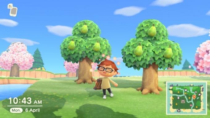 Animal Crossing tujerodno sadje