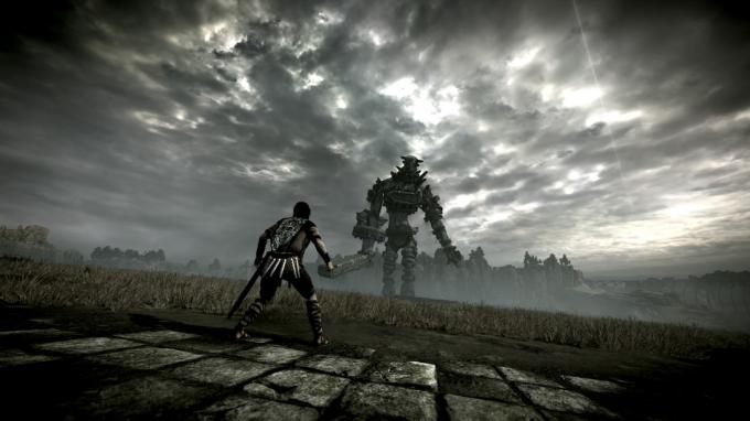Shadow of the Colossus'un yeniden çevrimi
