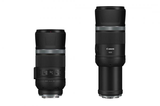 Canon RF 600mm f11 נסוג והרחבה על רקע לבן