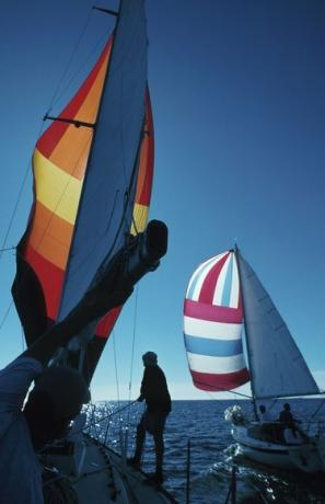 Folk på seilbåter i havet