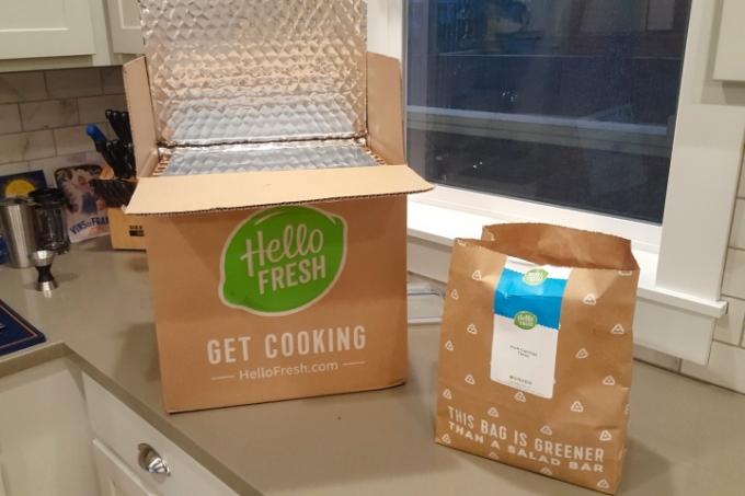 Recenze HelloFresh Meal Kit