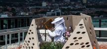 RoboBees, städtische Schutzgebiete und heiße Bienenstöcke könnten die Welt vor der „Bienenökolypse“ retten