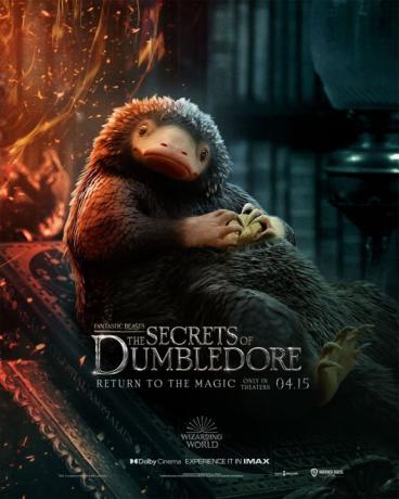 Teddy si Niffler.