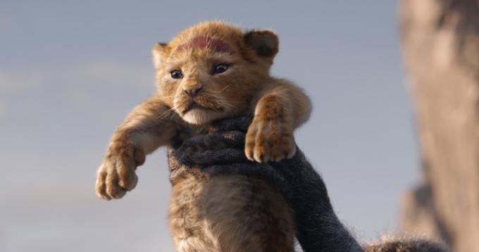 ลูกตัวน้อยถูกเลี้ยงใน The Lion King