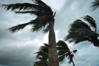 日本台風発電 風力エネルギー タービン チャレンジエネルギー