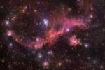 La nebulosa a emissione è larga 100 anni luce e ha la forma di un gabbiano