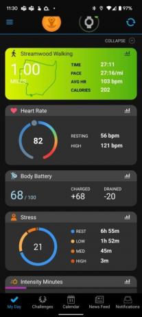 Это скриншот приложения Garmin Connect.