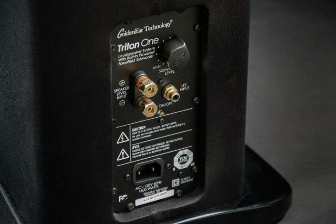 Entradas de los altavoces de revisión del altavoz Golden Ear Triton