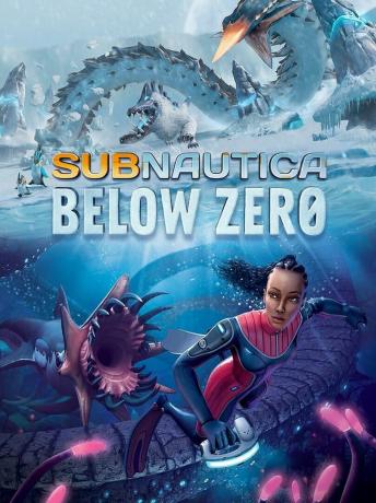 Subnautica: מתחת לאפס