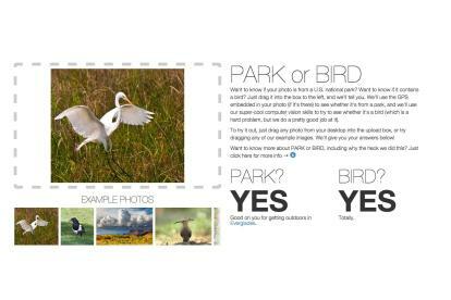 أداة فليكر البسيطة لحديقة الطيور هي في الواقع عرض توضيحي معقد للتعرف على الصور فليكر