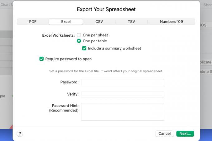 Slaptažodžio parinktis eksportuojant į Excel.