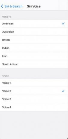 como mudar a voz da Siri ios 14 5 novas vozes