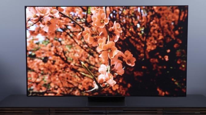 Nærbilleder af kirsebærblomster på et Samsung S95C OLED-tv.