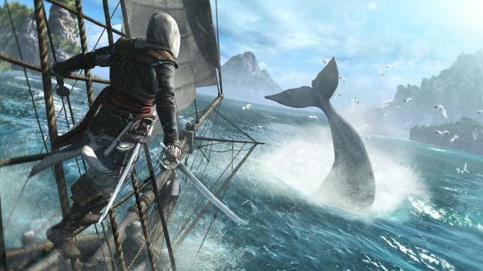 Assassins Creed 4 velryba