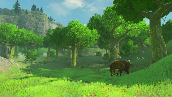 Zelda Respiração da Natureza