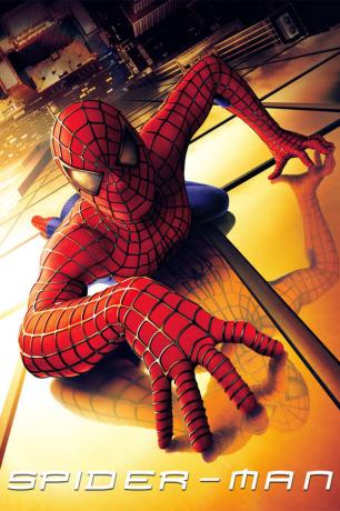 Spider-Man (2002) – 90 %