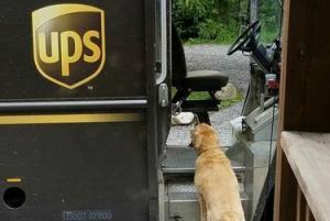 Seal on Facebooki leht, mis on pühendatud Dogs UPS Drivers Meetile