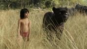 Weekend Box Office: The Jungle Book Roars Into Theatres