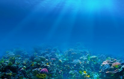 НАСА лидар лазер планктон коралов риф океан
