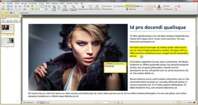 Ein Screenshot der Desktop-App PDF-XChange Editor vom Entwickler, der ein PDF-Dokument mit einem Foto einer Frau zeigt.