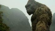 映画レビュー: 『コング: 髑髏島の巨神』は大成功