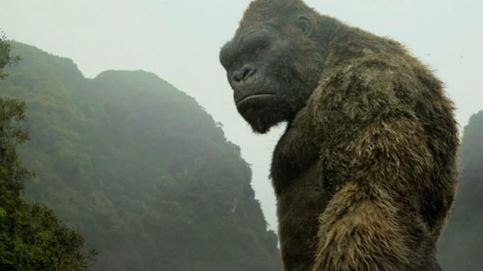 Critique du film: « Kong: Skull Island » est un franc succès