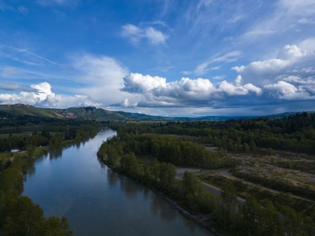 Річка тече крізь ліси та поля.