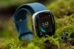 Lo smartwatch fitness tracker Fitbit Sense 2 ha uno sconto di $ 70 oggi