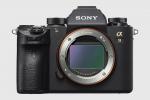 Nikon Z 7 vs. Sony A9: Full-Frame Mirrorless Throwdown
