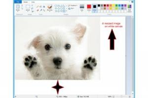 ฉันจะใช้ Microsoft Paint ได้อย่างไร