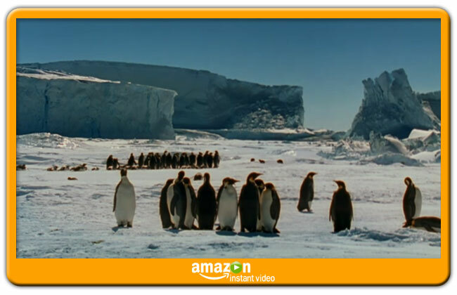 Marsch der Pinguine Amazon