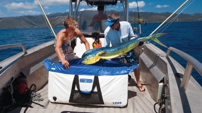 pescado inflable del refrigerador del escondite