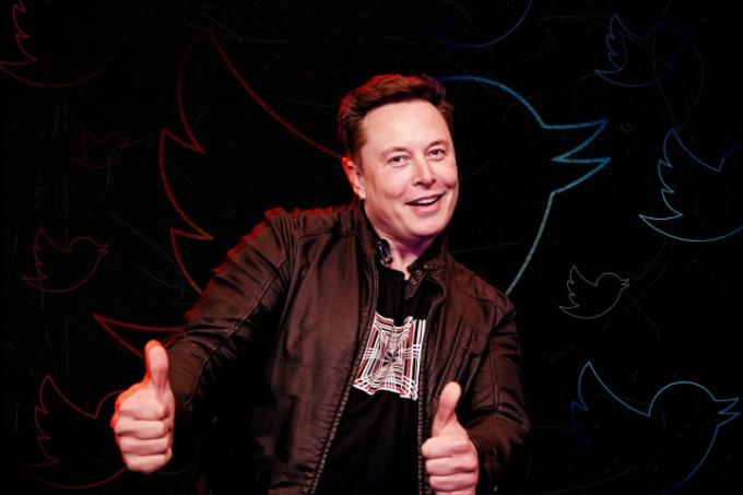 Uma imagem digital de Elon Musk em frente a um fundo estilizado com o logotipo do Twitter repetido.