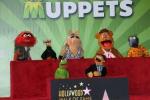 Muppets saattaa käynnistyä uudelleen ABC: llä