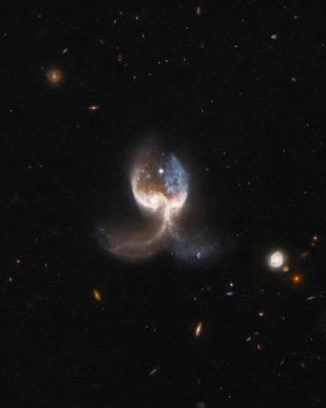 На этом изображении, полученном космическим телескопом «Хаббл» NASAESA, показаны две сливающиеся галактики в системе VV-689, получившей название «Крыло Ангела». 